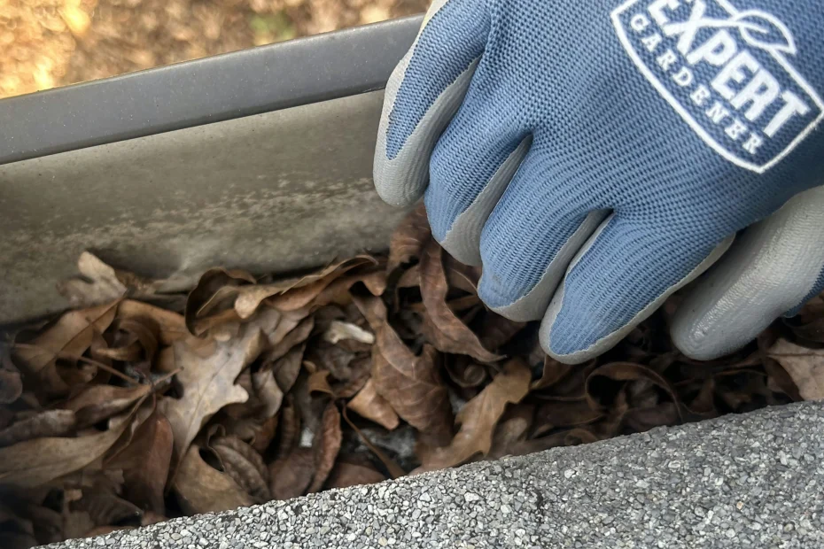 Gutter Cleaning Welsh